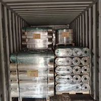 Tissu tissé enduit de PE / Papier VCI enduit de raphia pour l'emballage, le stockage et le transport de métaux multiples (fer, acier), anti-corrosion