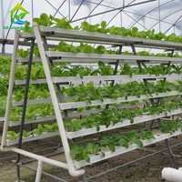 Systèmes d'hydroponie pour la culture hors-sol de micro-légumes en serre, culture horizontale multicouche, culture verticale, PVC High NFT