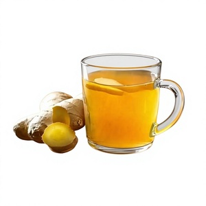 Organic Turmeric Ginger Cinnamon Herbal <b>Tea</b> Bags-Soothing Warming Blend for Daily Enjoyment - Product Image 1