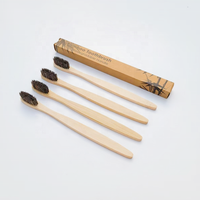 Brosse à dents plate économique pour adulte, purement naturelle, avec poils doux 100% biodégradables en crin de cheval, logo gravé, pour usage domestique