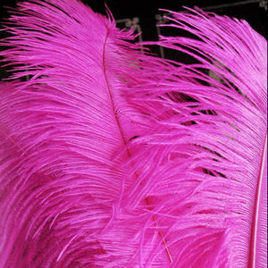 DÉCORATION DE FÊTE PLUME D'AUTRUCHE ROSE - Product Image 1