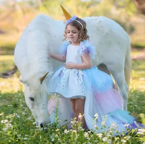 Robe de princesse arc-en-ciel pour fille, tenue de gâteau, cape détachable, robe de licorne, collection 2020
