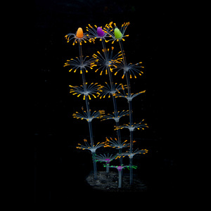 Pecera paisaje decoración ornamento luminoso silicona suave <span class=keywords><strong>Coral</strong></span> simulación plástico falso agua hierba simulación agua hierba - Product Image 2