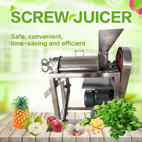 Singal-Stage Fruit Uicer Pers Schroef Juicer Industriële Extractor Machine Oranje Watermeloen Apple Koud Perssap Machine