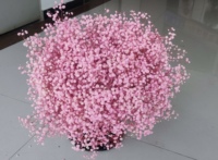 Fleurs de Gypsophile Séchées pour Bricolage Événements Décorations de Mariage