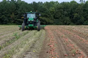 Navigator untuk traktor GPS sistem navigasi traktor untuk pertanian pertanian