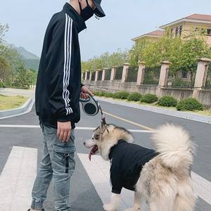 אופנה גדול גזע אדם בעל התאמת כלב מחמד מעגל מוצרים נים ספק חיות מחמד אבזרים - Product Image 3