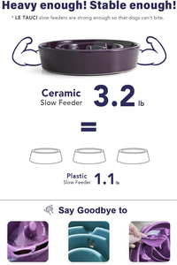 Ciotole Moderne in Ceramica Arrotondate per Cani, Ciotola Puzzle Slow Feeder per Razze Piccole e Medie, per Mangiatori Veloci, Uso Interno - Product Image 6