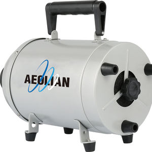 AEOLIAN-Secador de pelo profesional para perros, 2800W, alta fuerza de soplado, para mascotas, W - Product Image 3