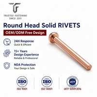 Rivets ronds en cuivre sur mesure TianFang pour chaînes et articulations pivotantes, service d'échantillonnage et prix en gros disponibles