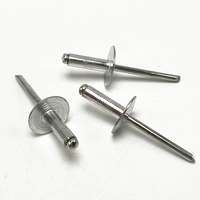Grosse Tête Galvanisé Poli Rivet Grande Bride En Acier En Aluminium De Type Ouvert Rivets Pop