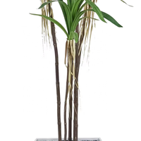 Oh Arts - Personalización de Árboles Artificiales de Dracaena de 210 cm, Dracaena Cochinchinensis, Dracaena Angustifolia