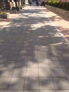 Murah Pemandangan merah saling mengunci teras bata pelapis - Product Image 3