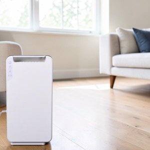 DDS Desiccant <b>Dehumidifier</b> Small 2L Tank for Bedroom ISO 9001 CE Certified Ultimate Dry Quiet Customization Available - Product Image 1