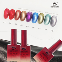 Vernis Gel Effet Magnétique Cat Eye UV LED Soak Off Longue Durée Haute Brillance pour Manucure en Salon et DIY à Domicile