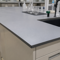 Plan de travail de laboratoire en résine phénolique, sur mesure, pour table de laboratoire