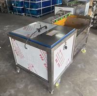 OEM Klantspecifieke Automatische Energiebesparende Multifunctionele Wortelgroente- en Fruitwas- en Schilmachine voor Catering en Voedingsmiddelenfabrieken