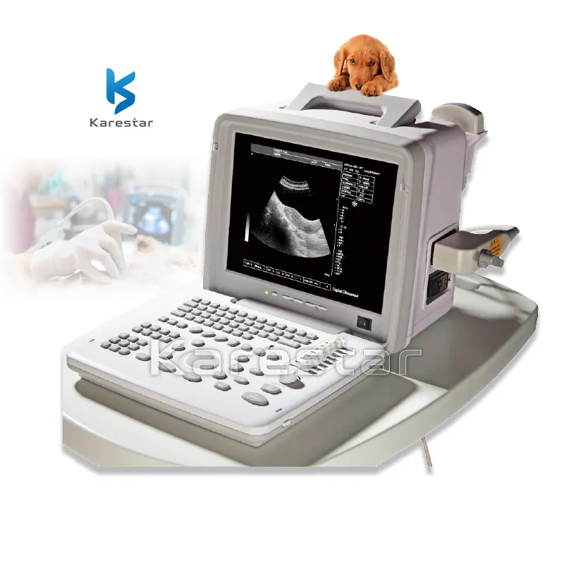 Karestar K-H50 Veterinary machine cheap portable ultrasound used for animal pregnancy scanning