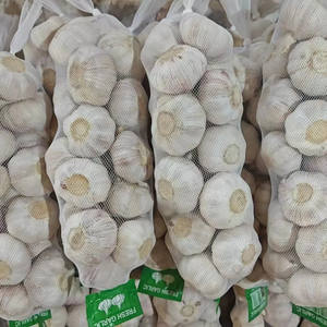 Optimum taze sarımsak 1kg Alho frafrais Ajos freskleri karton ambalaj toptan fiyat çin'de sıcak tedarikçisi - Product Image 2