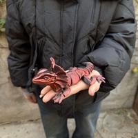 Figura de Lagarto de Cuello Rebordeado Realista Impresa en 3D de 22.5cm SDL09, Modelo Animal, Adorno Creativo para Decoración, Juguetes Impresos en 3D