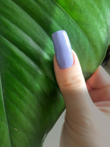 TSZS Factory Wholesale 500Pcs Extra Long ABS C Curved Nail Tips Clear  Half Cover False Nail for Home Salons - Product Image 1