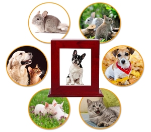 Urne Cinerarie in Legno all'Ingrosso con Portafoto per Animali Domestici Scatola Ceneri per Gatto e Cane Forniture Funebri Commemorative Cofanetto per Conservazione Ceneri Animali - Product Image 5