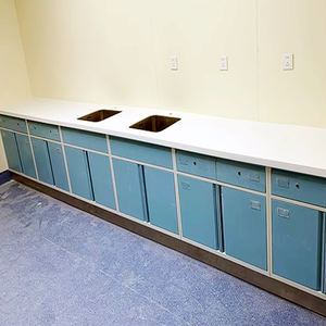 خزائن طبية حديثة من الفولاذ ووحدات جانبية للعيادات الطبية - وحدات متينة سهلة التنظيف تُثبت على الحائط - Product Image 3