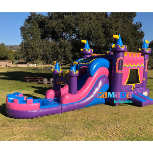 Thương mại lớp bluey trượt nước Bounce House Combo Cầu Vồng <span class=keywords><strong>Inflatable</strong></span> nhảy lâu đài cho trẻ em người lớn bluey Bouncer lâu đài - Product Image 6