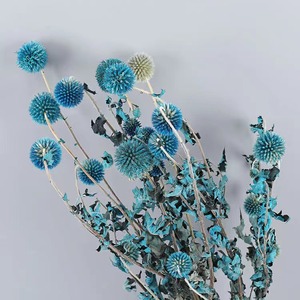 Flores y Plantas secas Eryngium de Planeta Azul preservado de <span class=keywords><strong>echinops</strong></span> coloridos más populares de INS para decoración del hogar de bodas - Product Image 5