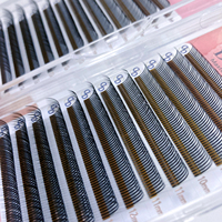 Cils Flora 5D 0.07 C D Wet Flower Animer Volume Naturel Doux Wet Spik 10D Comic Animer Extensions de cils en cheveux synthétiques