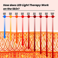 IDEATHERAPY RLPRO1200-X2 Panneau de luminothérapie infrarouge à haute irradiation à 9 longueurs d'onde, luminothérapie rouge pour le corps entier