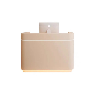 Hiện Đại Thanh Lịch Hình Chữ Nhật Bàn Tiếp Tân Mini Nhỏ Vẻ Đẹp Salon Spa Đồ Nội Thất Bàn Tiếp Tân Cho Phụ Nữ Boutique - Product Image 4