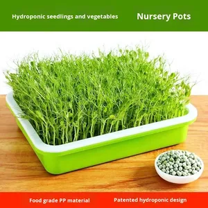 Plateaux de pépinière en plastique ménager robustes couvercles pour <span class=keywords><strong>balcon</strong></span> plateau de semis de plantation sans sol pour germes de soja légumes autres - Product Image 2