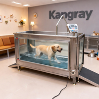 Tapis roulant motorisé électrique imperméable pour la rééducation et l'entraînement physique à domicile pour chiens de taille moyenne, pour les cliniques vétérinaires