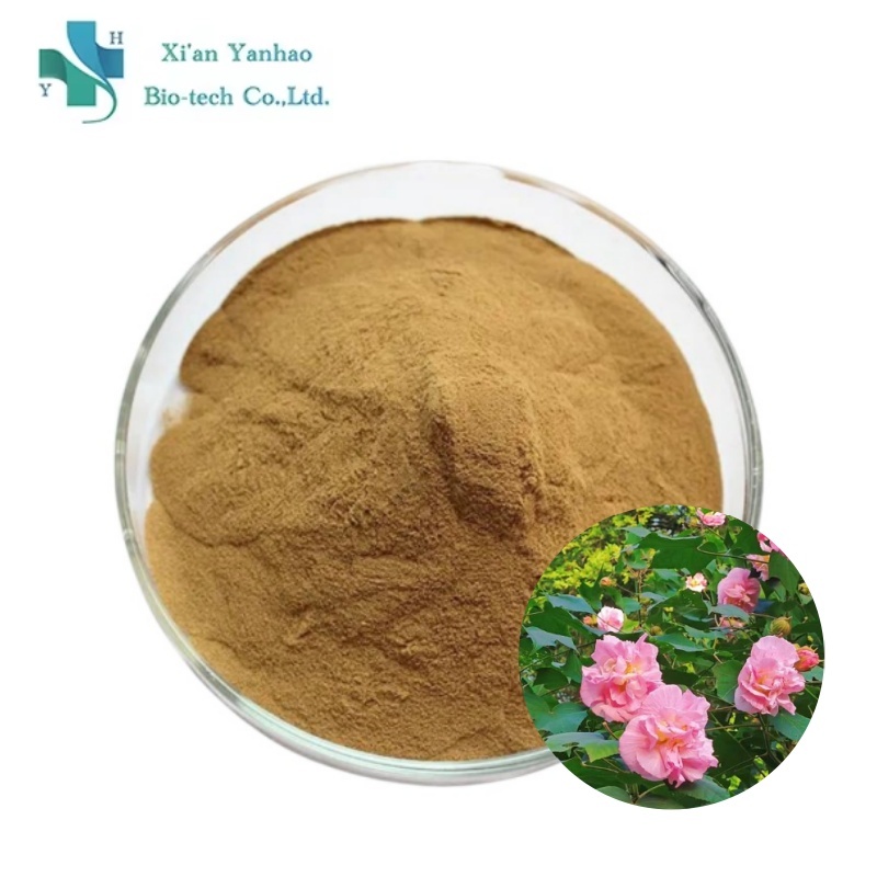 Bitter Orange Peel Herbal Extract Pure
