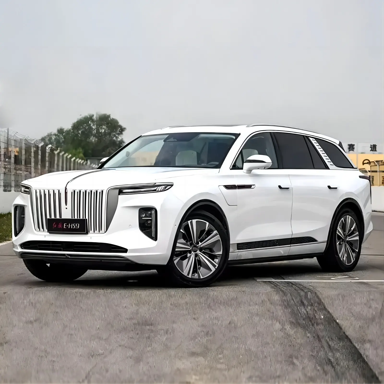 Hongqi E-hs9 7 koltuk yeni Ev araba çin'de yapılan araçlar spor Hongqi E-hs9 araba jantı 2023 510km bayrak elektrikli araba Ev Voiture