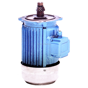 0,75 kW /1 PS 380 V Gusseisenohrmotor Hostmaschine für Beckengetriebe (Verkleinerung) und Motor für Aquakulturen Paddelräder Belüfter - Product Image 5