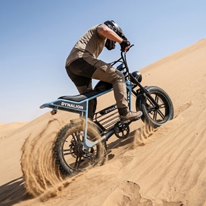 Vélo électrique tout-terrain à pneus larges de 20 pouces, prêt pour la piste désertique, avec suspension avant, idéal pour la conduite sur routes poussièreuses et terrains secs. - Product Image 1