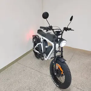 52V Electric Bike Dual Motor Bafang Triple Battery 66Ah Oil Brake Full Suspension Off Road MTB 55kmh Fat Tire Electric Bike