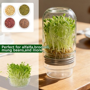 Juego <span class=keywords><strong>de</strong></span> Frascos <span class=keywords><strong>de</strong></span> Germinación para Jardinería Creativa con Frascos <span class=keywords><strong>de</strong></span> <span class=keywords><strong>Vidrio</strong></span> Transparente Tipo Mason y Tapa <span class=keywords><strong>de</strong></span> Acero Inoxidable Resistente a Impactos - Product Image 5