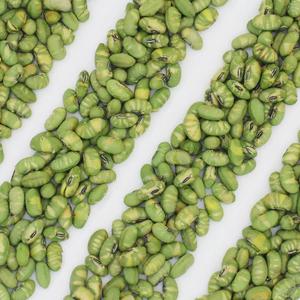 Best Seller noccioli di <span class=keywords><strong>Edamame</strong></span> tostati secchi croccanti non salati - Product Image 5