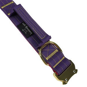 Ensemble laisse et collier tactique en nylon pour chien, avec rembourrage, pour promenades et dressage, personnalisable - Product Image 4