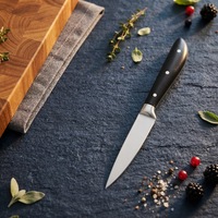 Xyj couteau de cuisine de 4 pouces 3CR14, manche en acier inoxydable ABS, couteau à fruits