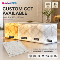 Feuille LED Flexible Haute Qualité pour Rétroéclairage, Boîte à Lumière en Verre Teinté, Panneau Mural Rétroéclairé, Décoration Façonnée
