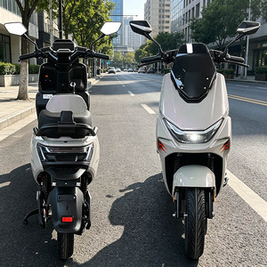 CKD SKD มอเตอร์ไซค์ขนาด 12 นิ้ว รุ่นที่ดีที่สุด กำลัง 1100/1300 วัตต์ ความเร็ว 60 กม./ชม. ผู้ผลิตมอเตอร์ไซค์สำหรับผู้ใหญ่ - Product Image 1