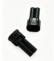 Connecteur étanche automobile 2 broches mâle-femelle pour faisceau de câblage de capteur d'oxygène et de phare antibrouillard