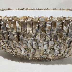 Vase de coquillage Style européen de haute qualité, 1 pièce, modèle populaire des pays-bas, jardinière en <span class=keywords><strong>Cymbidium</strong></span>, vente en gros - Product Image 5