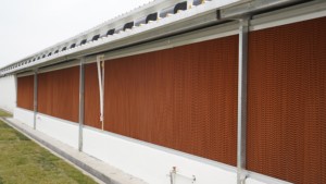 Système de refroidissement par évaporation pour élevages avicoles 7060/7090 – Panneaux de refroidissement en papier cellulose pour la ventilation des poulaillers - Product Image 3