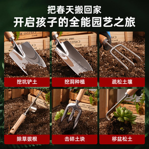 Pelle de jardin en acier inoxydable Airi Shield avec manche en bois pour la plantation et le désherbage - Product Image 4