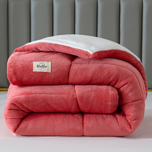Couette en velours de lait unie, anti-boulochage, anti-statique, ultra chaude et confortable, <span class=keywords><strong>pour</strong></span> la vente en gros. - Product Image 6